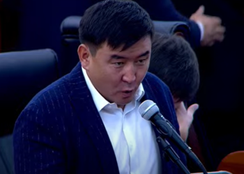 «Эмнеге «детский сад» болуп жатабыз?» Депутат кесиптештерин сынга алды