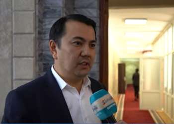 Марлен Маматалиев: «Төрт министрдин кызматтан алынганы жакшы көрүнүш»