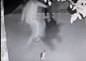 Мышыктын башына секире тепкен жаранга сот өкүм чыгарды (видео)