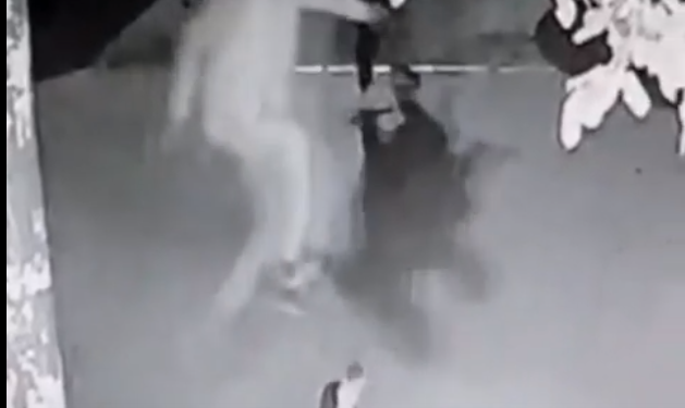 Мышыктын башына секире тепкен жаранга сот өкүм чыгарды (видео)