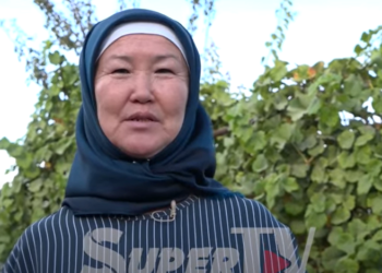 «Кандайсыңар, алтындарым» деп сөөлжандар менен учурашам» дейт сөөлжан багып, айына 1 миң доллар тапкан аял