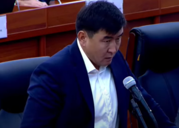 «Чек ара маселесин билбесең, аралашпа». Депутат кесиптештерине Чубак ажынын сөзүн эске салды