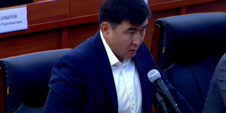 «Чек ара маселесин билбесең, аралашпа». Депутат кесиптештерине Чубак ажынын сөзүн эске салды