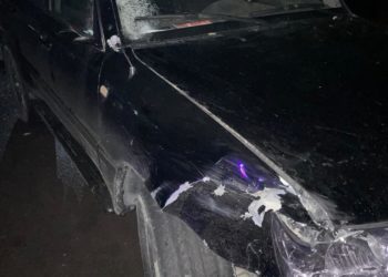 Токмокто депутат милиция кызматкерин сүзүп кеткен