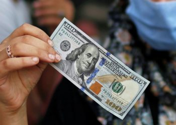 «Кризистен банктар эң көп табууда», «Улуттук банк валюта рыногун унутту», «1 адамга 100 эле доллар». Бир канча депутат долларга издөө салды