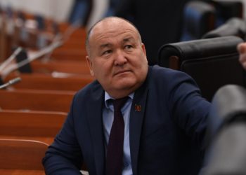 Депутат: «Айылдын эли байып, шаардан кем эмес жашап калышты. Малга салык киргизели»