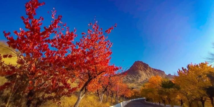 15-ноябрга карата өлкөдөгү аба ырайы