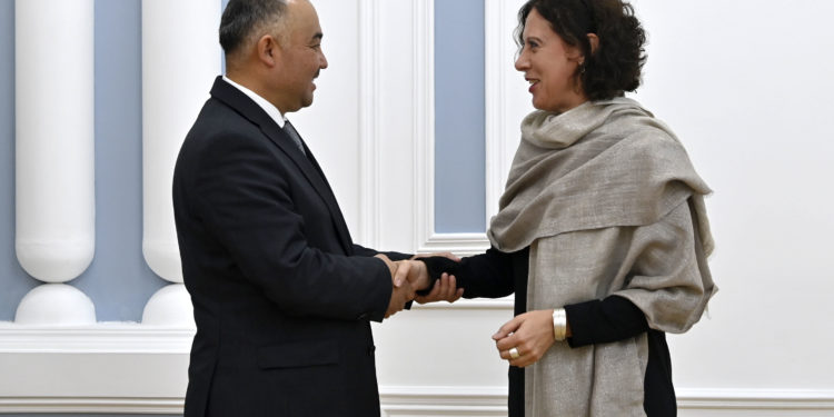 Төрага Нурланбек Шакиев БУУнун Кыргызстандагы туруктуу координатору менен жолугушту