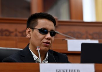 Депутат Бекешев: «Орусиянын мыйзамын көчүргөндөр адегенде ошол жакта жашап келишсин»