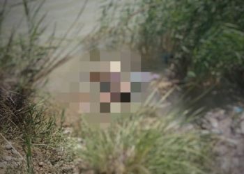 Ноокенде куткаруучулар аялдын жансыз денесин суудан табышты