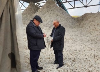 😀 «Пахта керек болуп жатат» деген Балбак Түлөбаев Ошко барды (сүрөт)