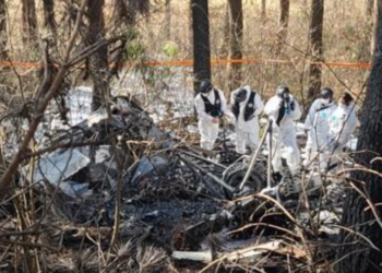 Түштүк Кореяда тик учак кулап, 5 адам каза болду