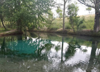 «Чечме булак эмне болот?» Чечме айылынын тургундары митингге чыгышты