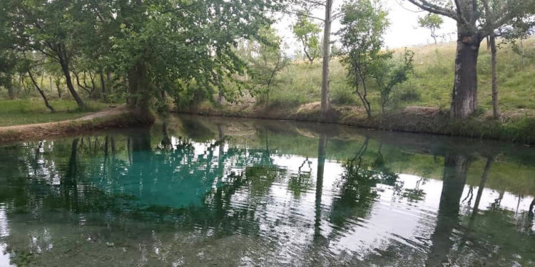 «Чечме булак эмне болот?» Чечме айылынын тургундары митингге чыгышты