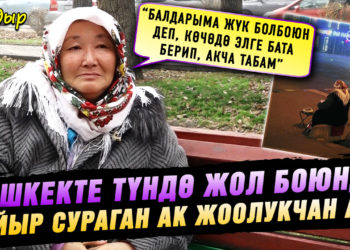 “Кезинде мамлекеттик кызматта иштегем, кайырчы болуп төрөлгөн эмесмин”|Сүрөтү интернетке тараган апа