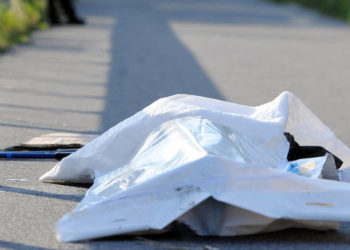 «Иттер кемирип салган». Орто-Сай айылында эркек кишинин жансыз денеси табылды