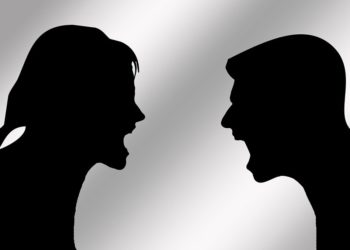 «Атасынын керээзинде айтылган». Сузакта чөп талашкан ага-карындаштын иши Жогорку Сотко жетти