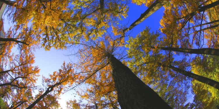 25-ноябрга карата өлкөдөгү аба ырайы