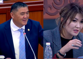 Ташиев Айдаровага: «Сиз жол тескөөчүлөргө көрсөткөндөй күбөлүктү көрсөтсөңүз да Кемпир-Абадга киргизбейт»