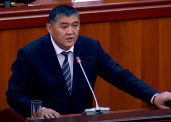 Камчыбек Ташиев: «Дагы 1-2 депутатка кылмыш иш бар. Кээ бириники өтө оор иш»