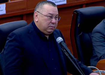 «Салык төлөнө элек аба эле калды». Депутат салыктардын көтөрүлүшүнө нааразы болду