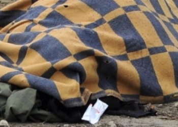 Ноокенде сайдан табылган жансыз дене 19 жаштагы кыз экендиги аныкталды. Ал киши колдуу болгон