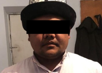 Төкмө акын Болот Назаров ат уурдоого шектелип кармалды