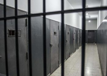 «Сот залынан бошотулган». ЖАК 1600 сом үчүн СИЗОдо отурган кыз тууралуу маалымат берди