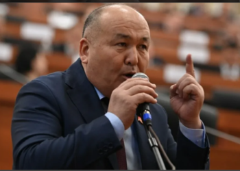 Мал салыгы. Депутат Токторбаев: «Карапайым эл зыян тартпайт. Мал-жандыгы 50 койдон, 5 жылкыдан, 5 уйдан ашса салык төлөнөт»