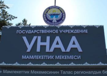 Садыр Жапаров «Унаа» ишканасын жеке көзөмөлүнө алганын айтты