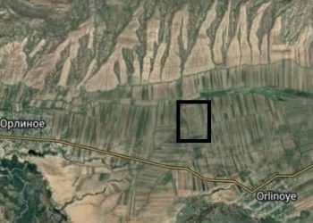 Ысык-Көл облусундагы 14,6 миллион сомдук жер мамлекетке кайтарылды