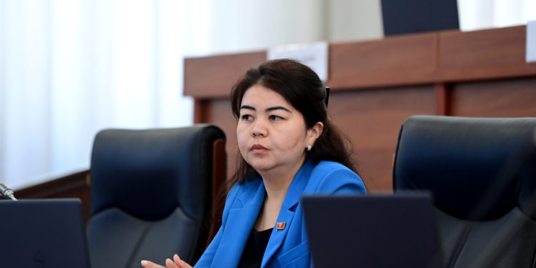 Депутат Алимжанова: «Коомдук транспортто көп жүрөм. Автотыгындар айдоочулардын сабырын сыноодо»