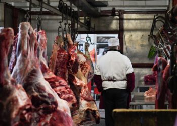 Өлкөдө мал союучу 93 жайдын 25и талапка жооп бербейт