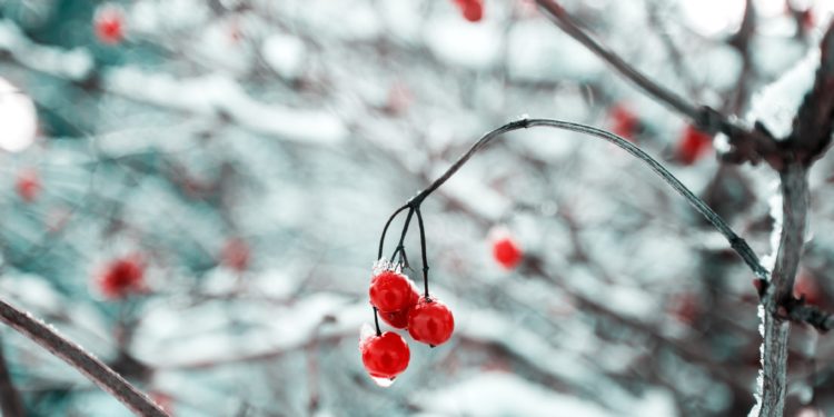 Эртең, 28-декабрга карата өлкөдөгү аба ырайы