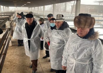 Депутат Айжигитов: «Кыргыз мал чарба жана жайыт илим-изилдөө институтунун 12 миллион сом карызын жоюу зарыл»