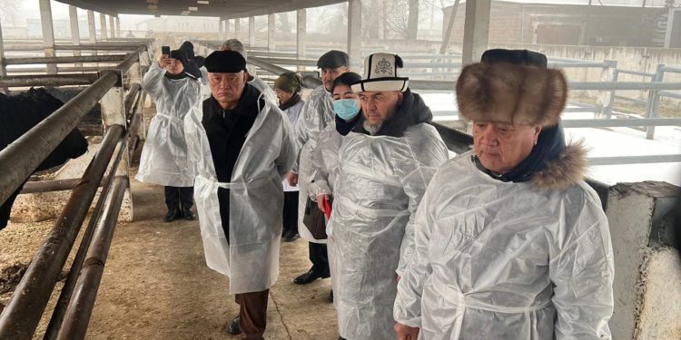 Депутат Айжигитов: «Кыргыз мал чарба жана жайыт илим-изилдөө институтунун 12 миллион сом карызын жоюу зарыл»