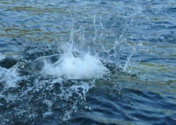 Таласта сууга түшүп кеткен 8 жаштагы баланын жансыз денеси чыгарылды