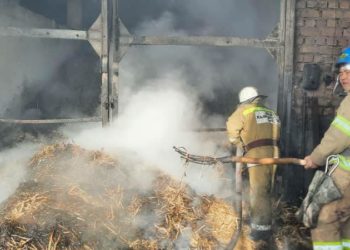 Ысык-Көлдө өрттөнгөн кампадагы 5 тонна картошка жарабай калды (сүрөт)