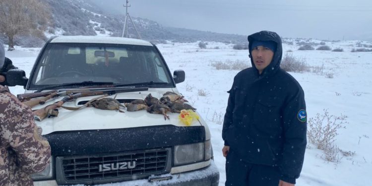 «Любойго» чала бер!» Чүй облусунда алты браконьер кармалды