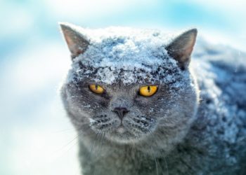 13-декабрга карата өлкөдөгү аба ырайы