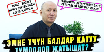Чоңун да, баласын да жыккан грипп | «Тумоонун туу чокусуна жете элекпиз. Ал январда күтүлөт»
