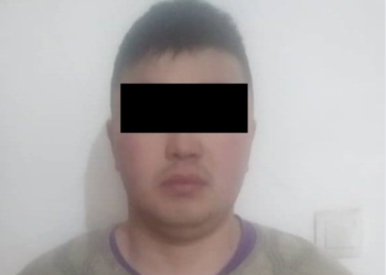 «Сол көзү көрбөй калган». Чүйдө жаран эч себепсиз токмоктолгонун билдирди