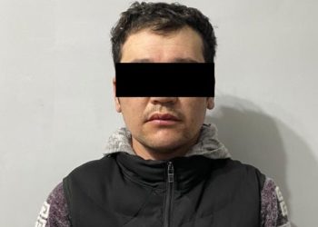 «Жоолугуна муунтулган». Сузакта «төркүнүмө кеттим» деген келиндин жансыз денеси табылды