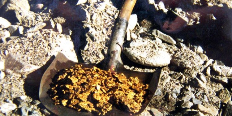 Ала-Букада түн ичинде алтын казууга аракет кылган 5 жаран кармалды