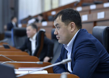 Депутат Бакасов бачабаздарды бычып салуу Чехияда колдонуларын айтты