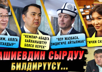 Ташиевдин сырдуу билдирүүсүн кандай түшүндүңүз жана ал кимге багытталган? Депутаттардын пикири