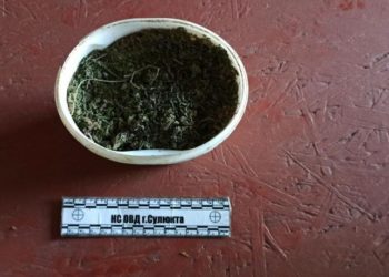 Сүлүктүдө жарандын үйүнөн кургатылган марихуана табылды