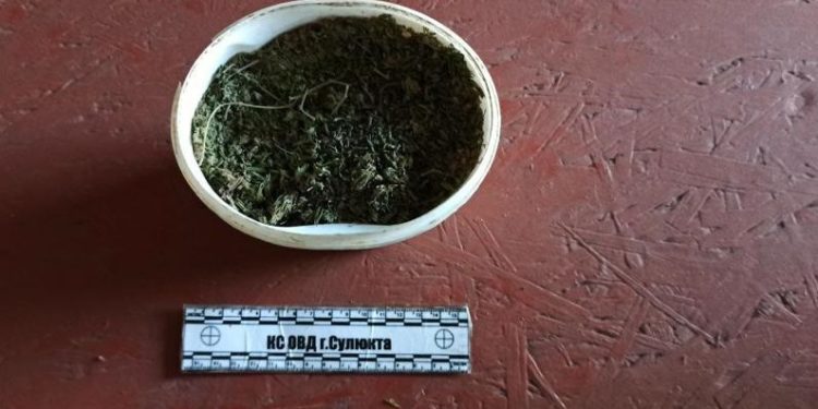 Сүлүктүдө жарандын үйүнөн кургатылган марихуана табылды