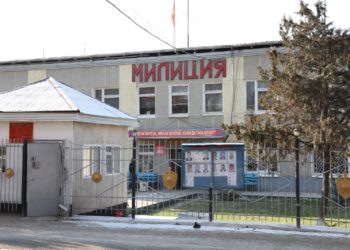 Лейлекте чек арадан мыйзамсыз өткөн жаран кармалды