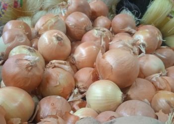 Кыргызстандан пиязды чыгарууга 3 айга тыюу салынды